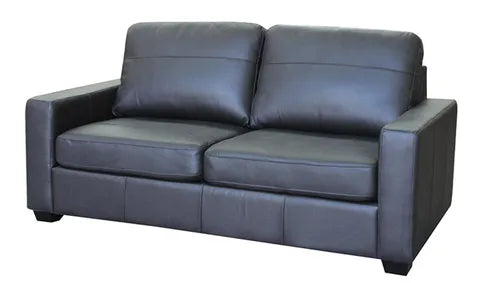 Adam Leather Sofa Bed